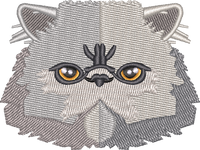Cat 11