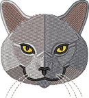 Cat 12