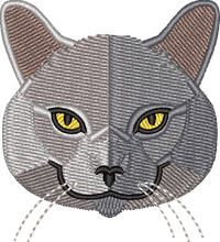 Cat 12