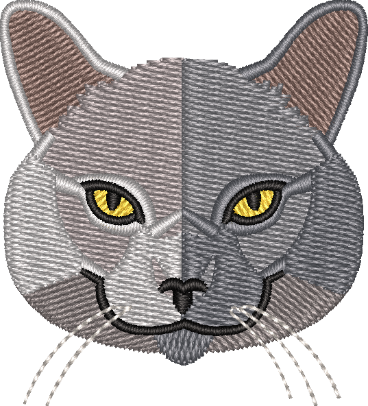 Cat 12