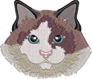 Cat 13