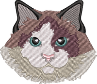Cat 13