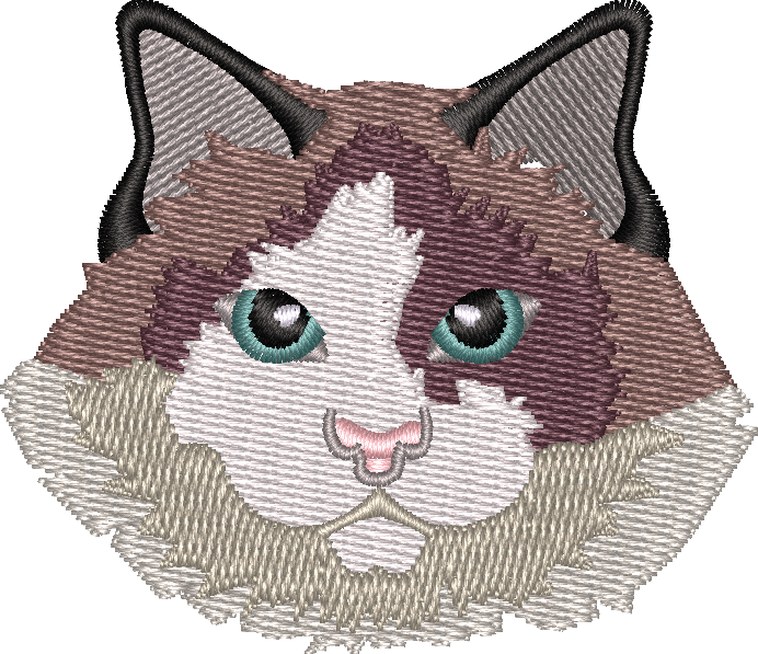 Cat 13