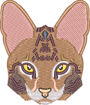 Cat 14
