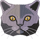 Cat 2