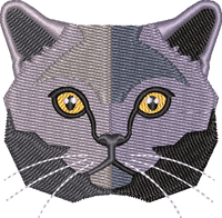 Cat 2
