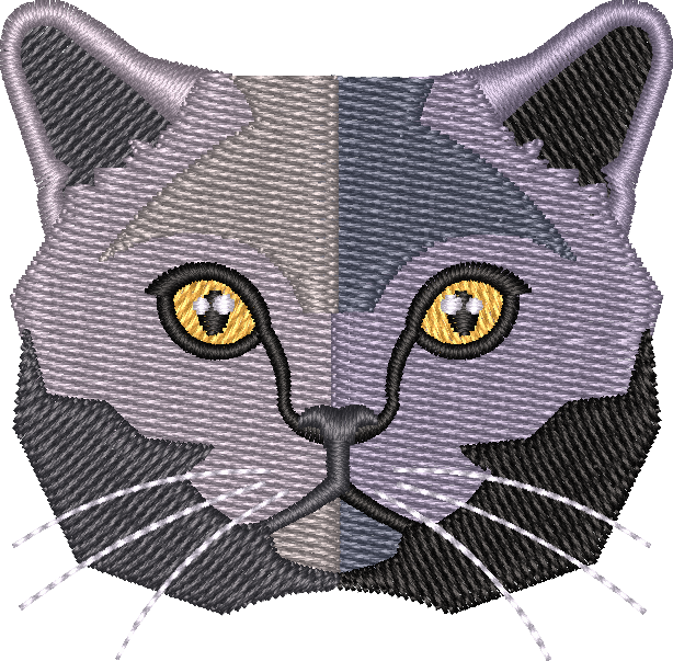 Cat 2