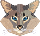 Cat 3