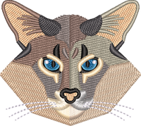 Cat 3