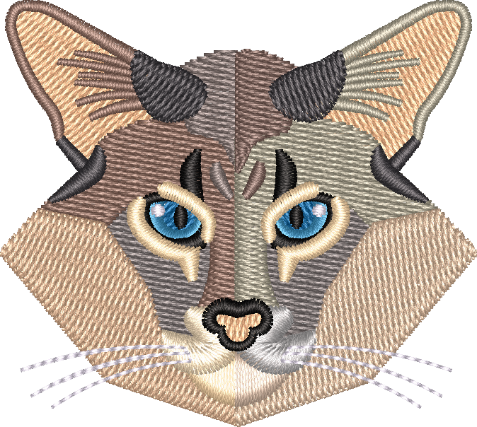 Cat 3
