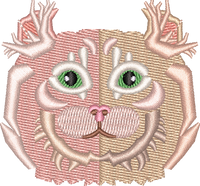 Cat 4
