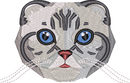 Cat 5