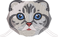 Cat 5