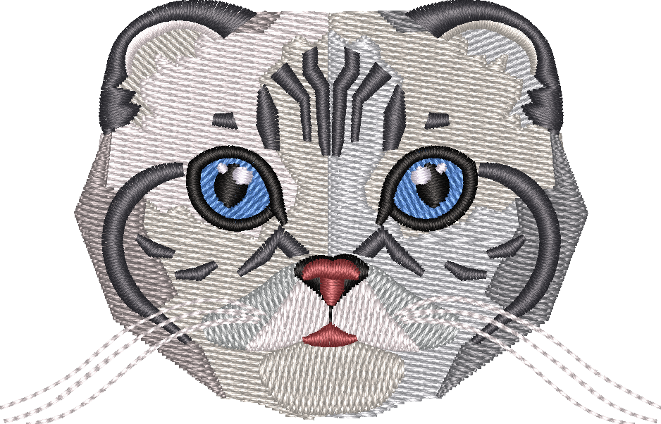 Cat 5