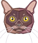 Cat 6