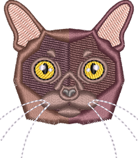Cat 6