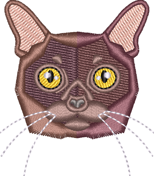 Cat 6