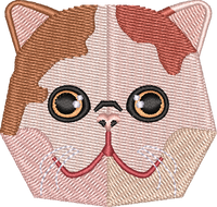 Cat 7