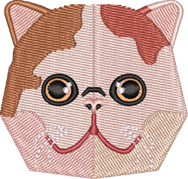 Cat 7