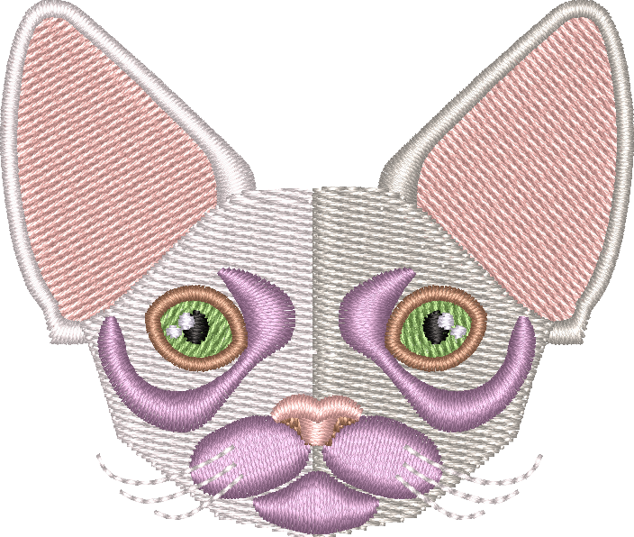 Cat 8