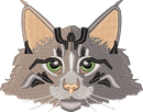 Cat 9