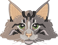 Cat 9