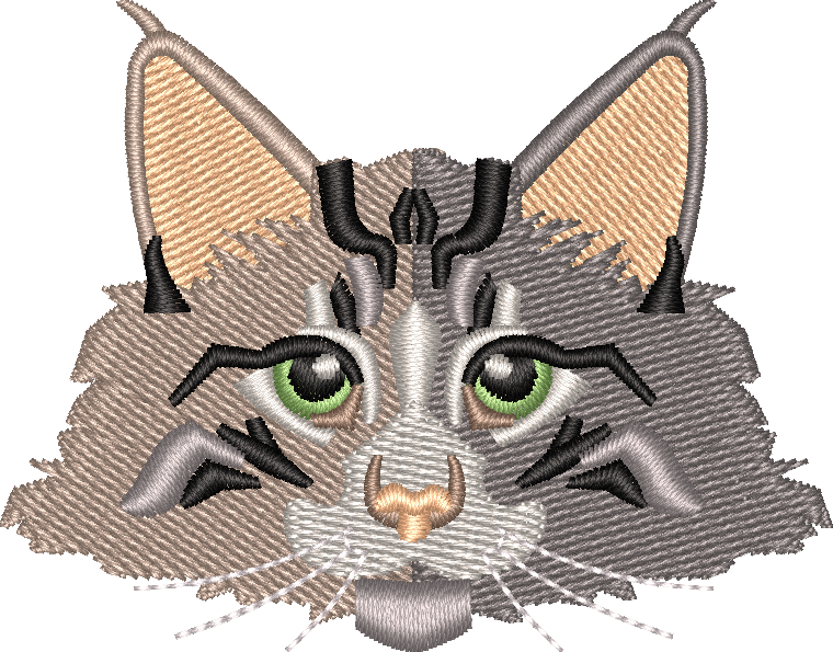 Cat 9