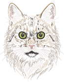 Cat Head Run