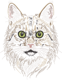 Cat Head Run