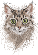 Cat Head Threads