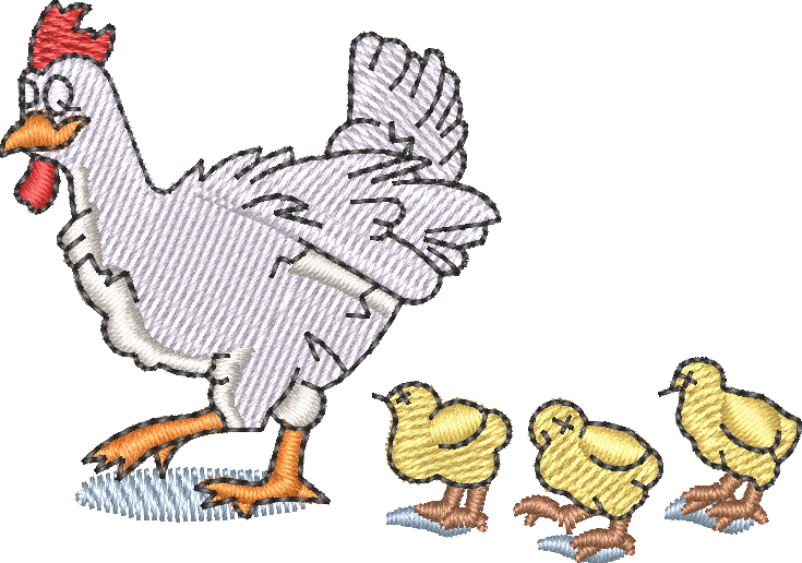 Chicken Chicks