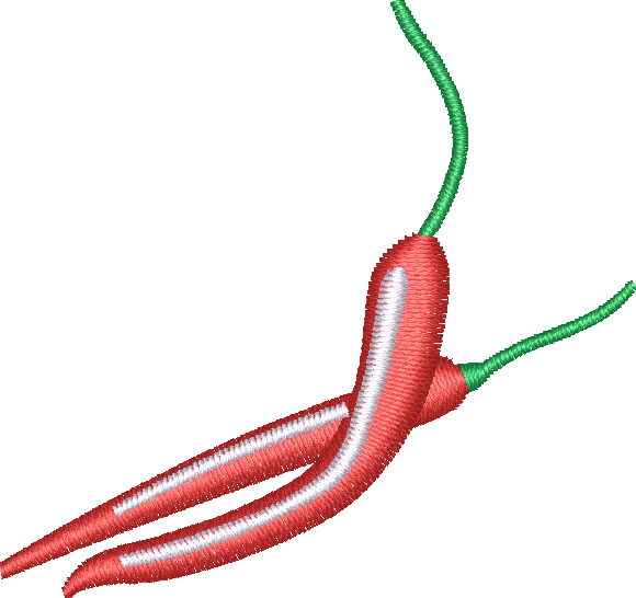 Chili Pepper