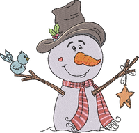 Christmas Snowman Bird