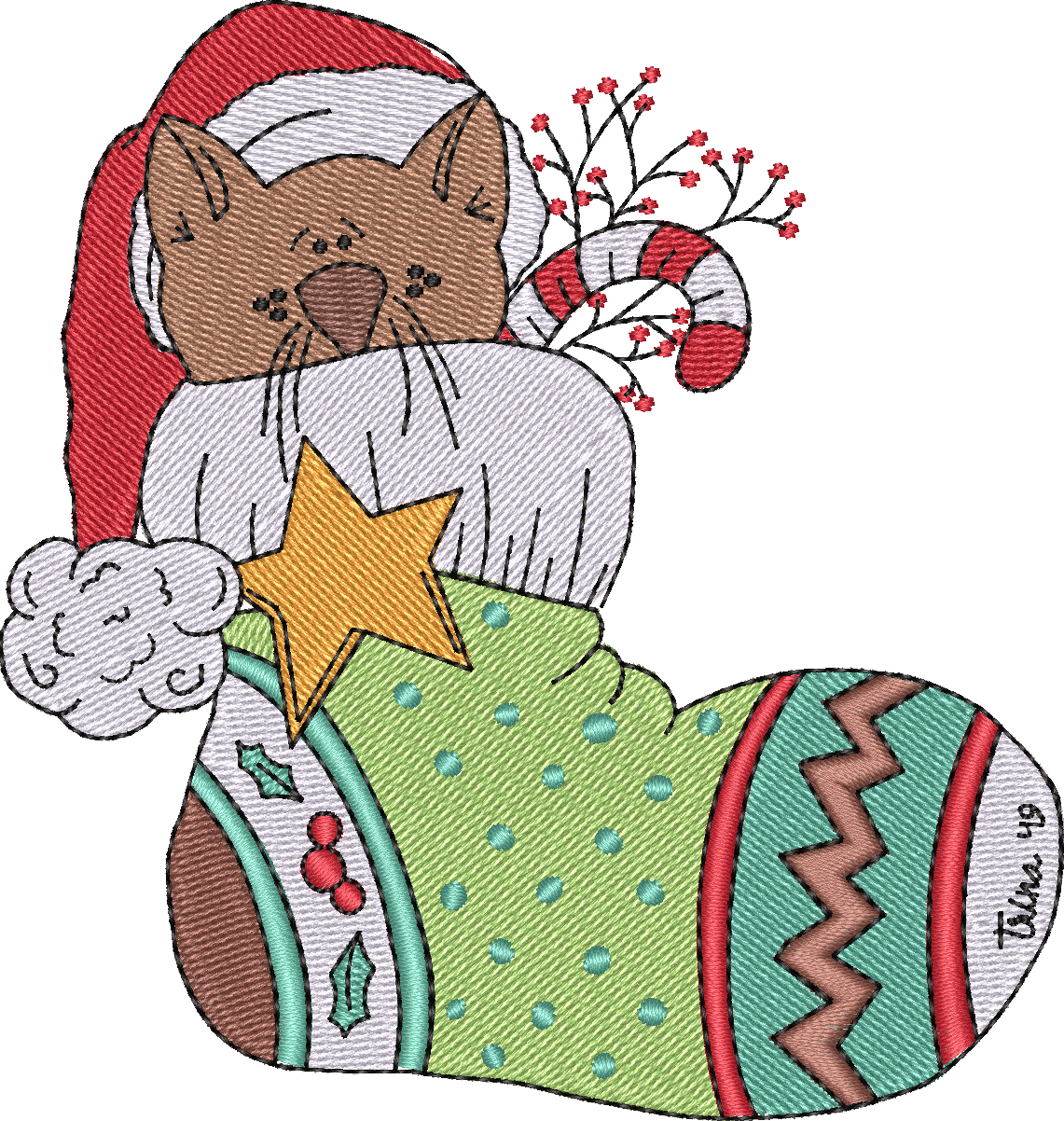 Christmasstockingcat
