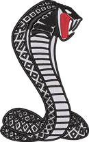 Cobra 2020