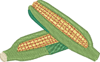 Corn Cob