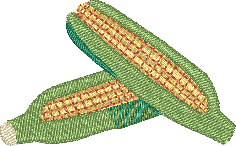 Corn Cob
