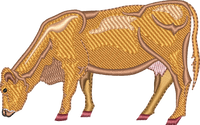 DAIRY COW 10