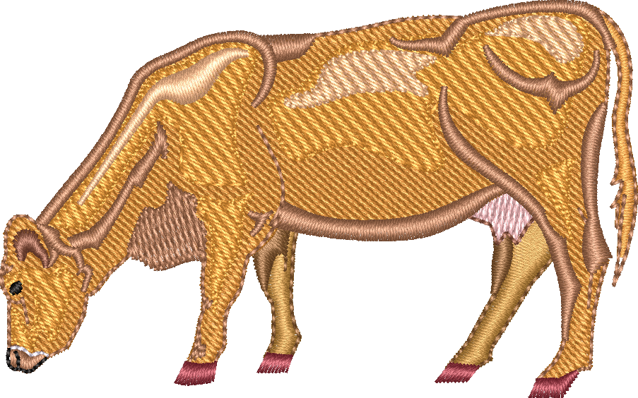 Dairy COW 10