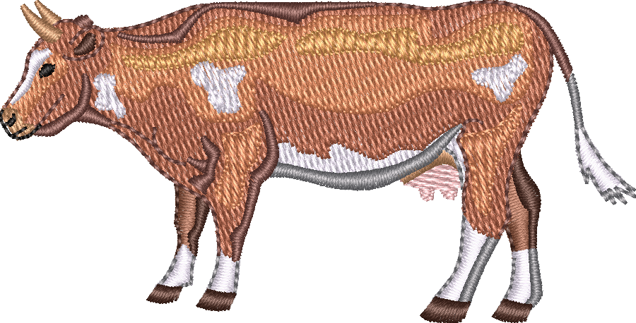 Dairy COW 11
