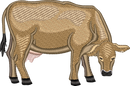 DAIRY COW 12