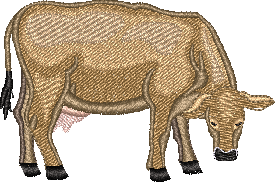 Dairy COW 12