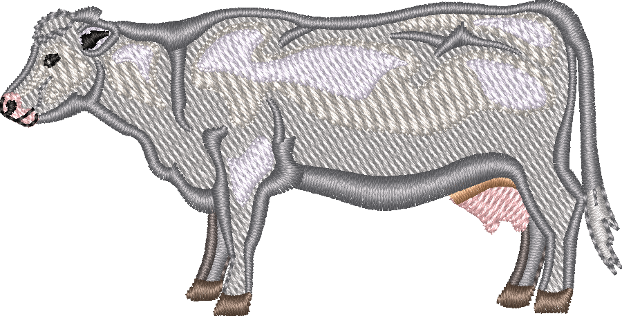 Dairy COW 2
