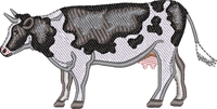 DAIRY COW 3