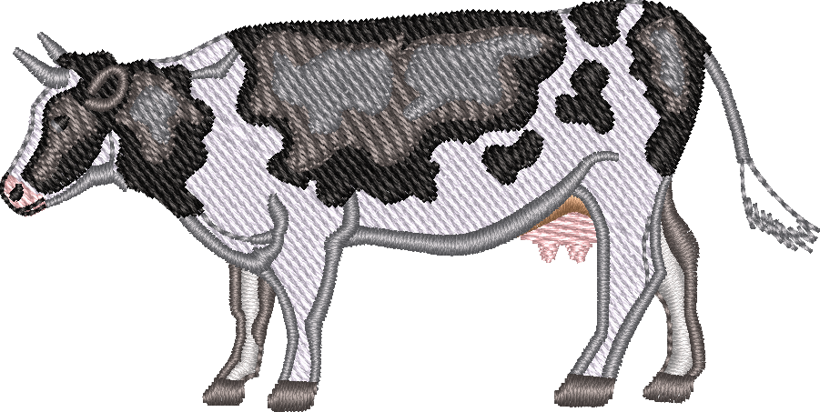 Dairy COW 3