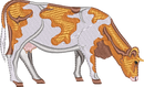 DAIRY COW 4