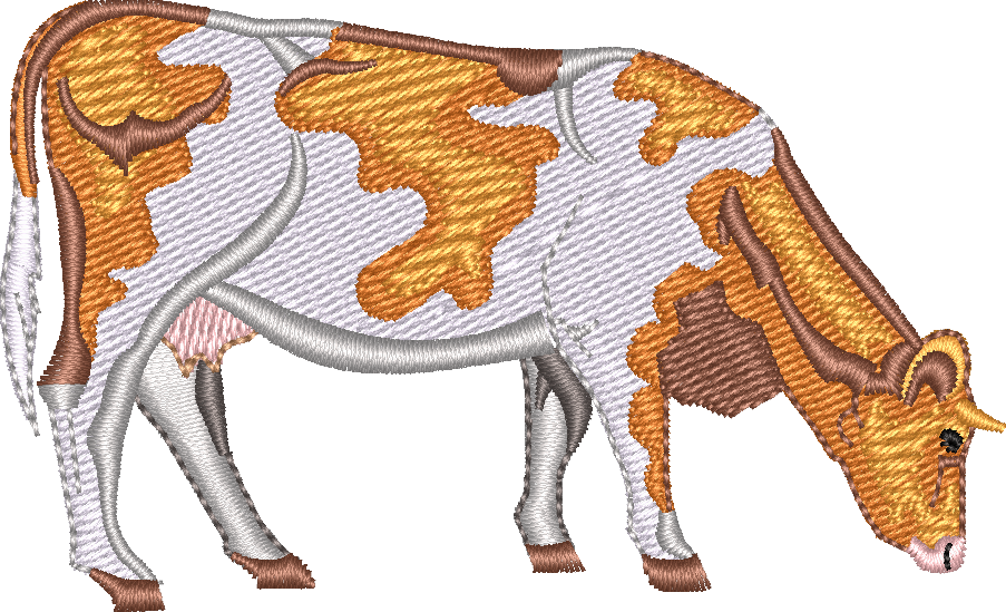 Dairy COW 4