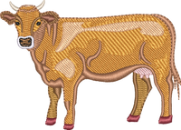 DAIRY COW 5