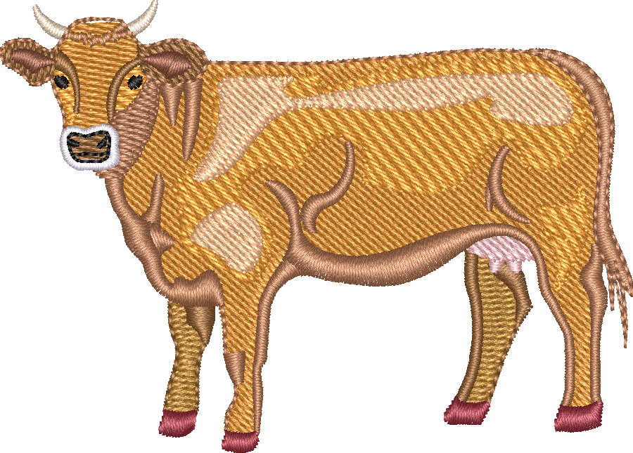 Dairy COW 5