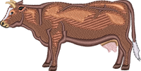 DAIRY COW 6